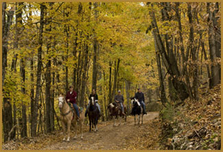 Trail rides in the Ozark Mountains